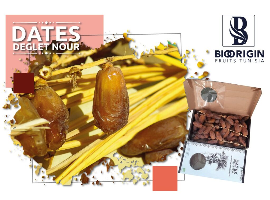 Dattes branchées Deglet Nour – Dattes biologiques tunisiennes